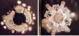 Japan’s polluted Shimanto River – water before / after prayer